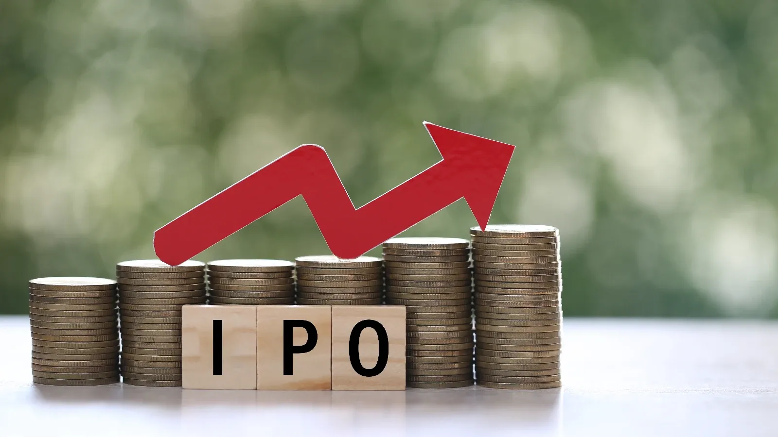 IPO (Initial Public Offering)